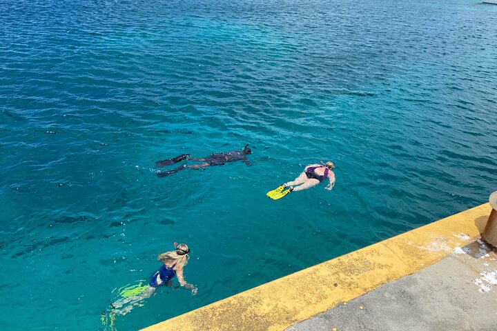 Snorkeling with Sea Turtles
