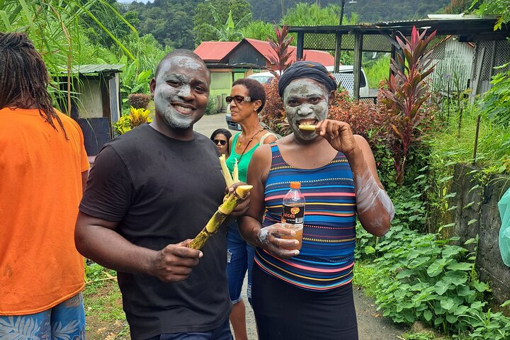 Scenic Tour of City and Rainforest, Waterfall, Sulphur Springs .