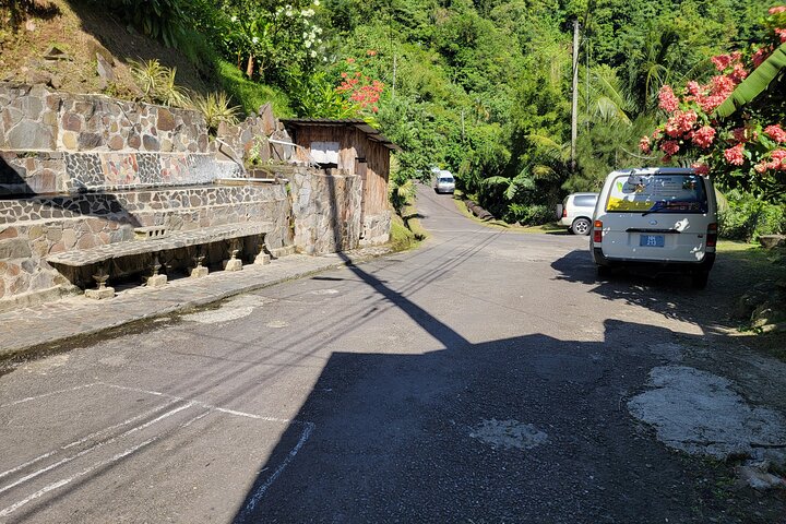 Scenic Tour of City and Rainforest, Waterfall, Sulphur Springs .