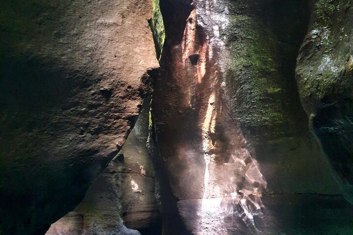 Scenic Tour of City and Rainforest, Waterfall, Sulphur Springs .