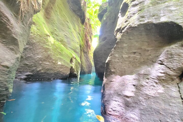 Scenic Tour of City and Rainforest, Waterfall, Sulphur Springs .