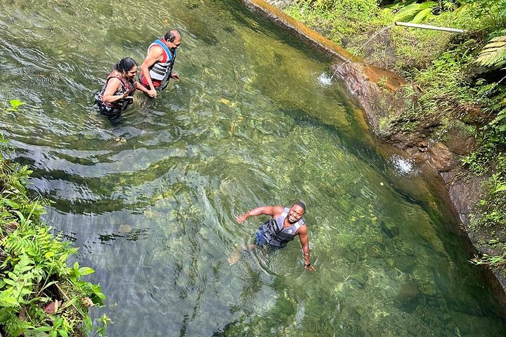 Scenic Tour of City and Rainforest, Waterfall, Sulphur Springs .