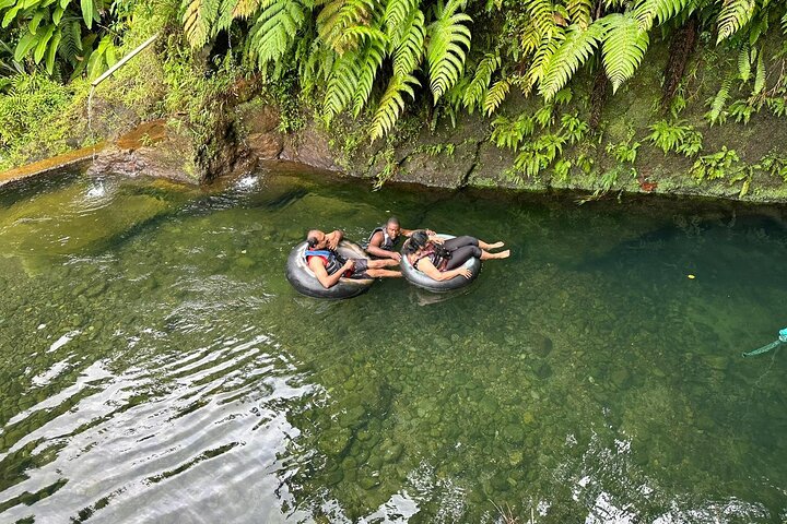 Scenic Tour of City and Rainforest, Waterfall, Sulphur Springs .