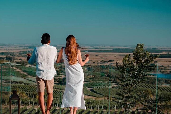Wine Lovers - Bodega Garzon Experience