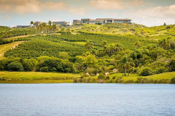 Wine Lovers - Bodega Garzon Experience