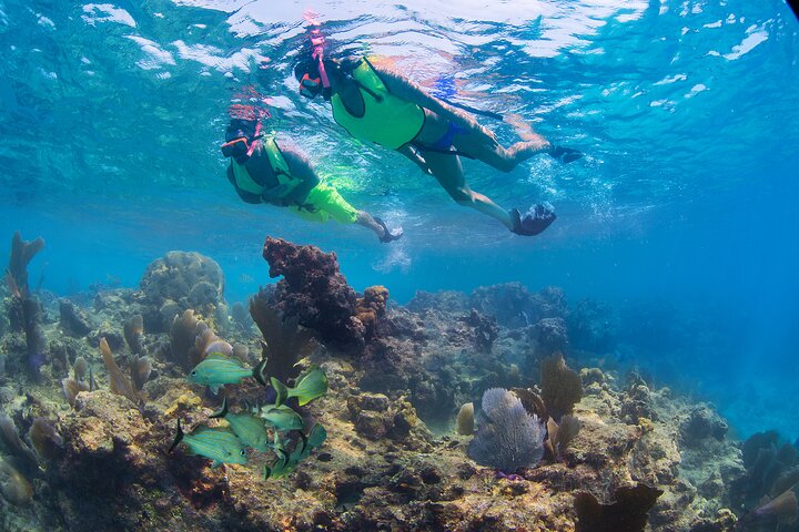 Key West Ultimate Watersports Adventure with Snorkeling Upgrade
