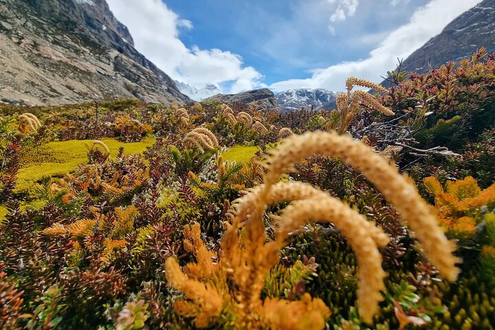 Alpine Adventure in Pollone Lagoon and Lake Electric Valley