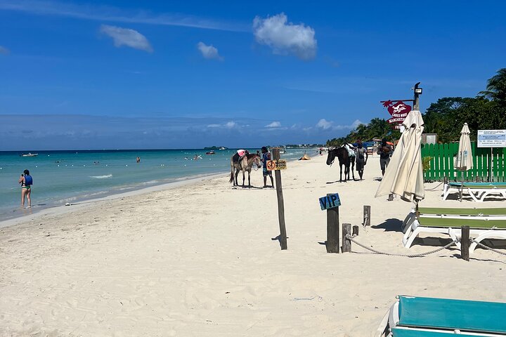 Private Tour for Negril Seven Miles Beach & Rick's Cafe Jamaica