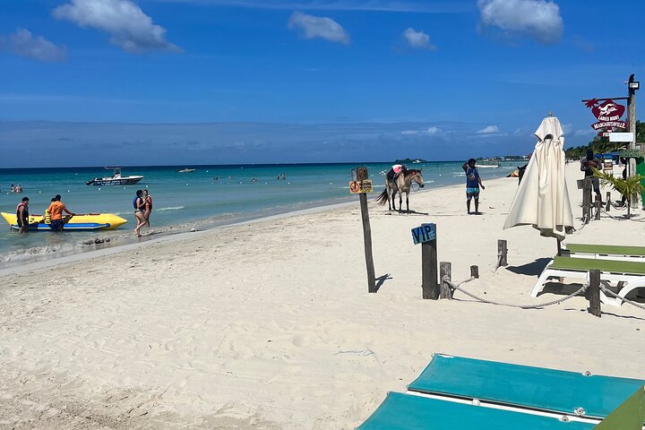 Private Tour for Negril Seven Miles Beach & Rick's Cafe Jamaica