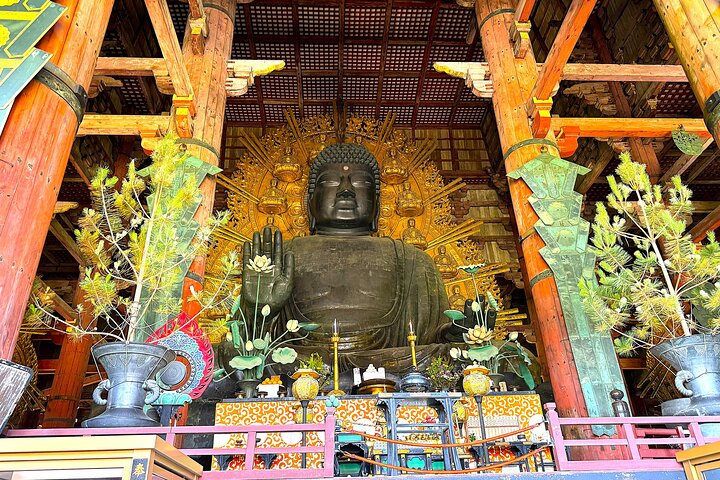 Nara: Half-Day Private Tour of 4 Must-See Spots & Deer Park