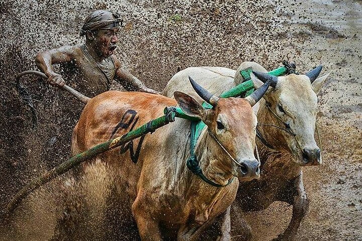 4 Days 3 Nights Private Tour in West Sumatra