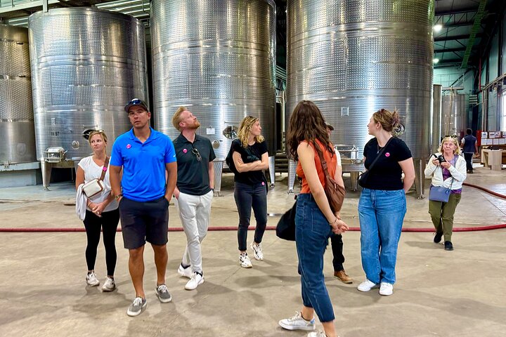 Taste 10 Types of Wine in 3 exclusive Casablanca’s Vineyard