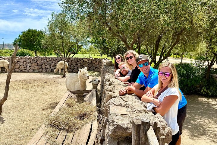 Taste 10 Types of Wine in 3 exclusive Casablanca’s Vineyard