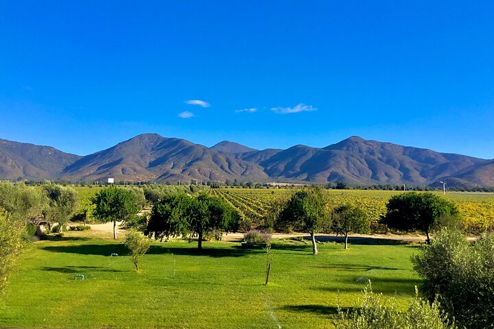 Taste 10 Types of Wine in 3 exclusive Casablanca’s Vineyard