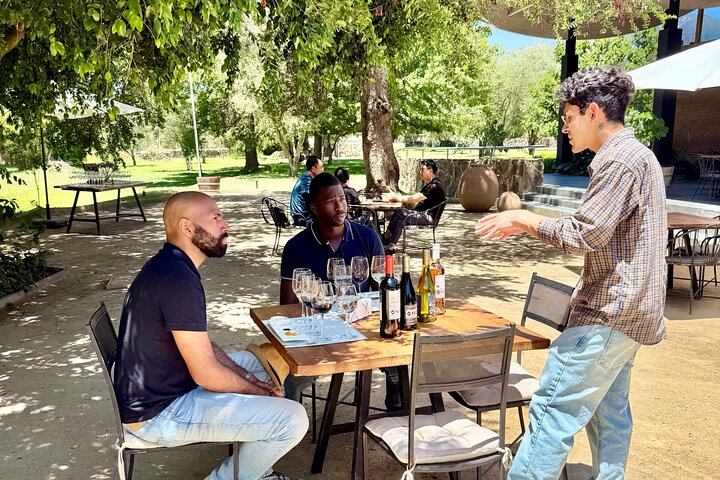 Taste 10 Types of Wine in 3 exclusive Casablanca’s Vineyard