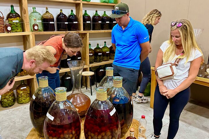 Taste 10 Types of Wine in 3 exclusive Casablanca’s Vineyard