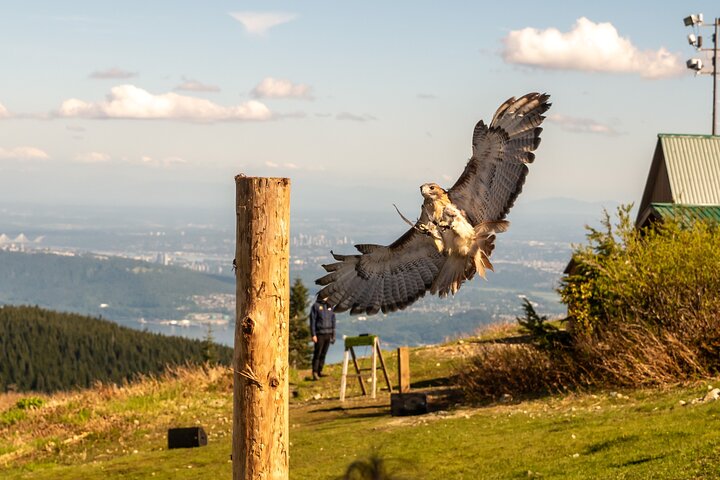 Grouse Mountain, Skyride Gondola & Capilano Bridge from Vancouver