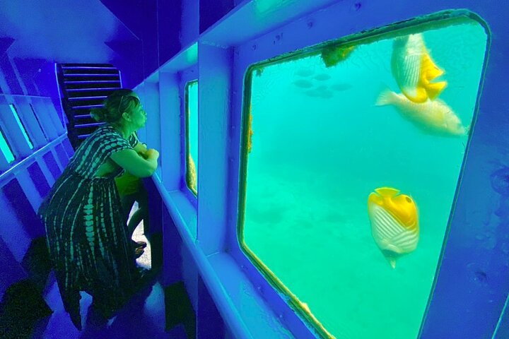 Ponton Day Trip SWIM with fish’s All meals included with LYVAI