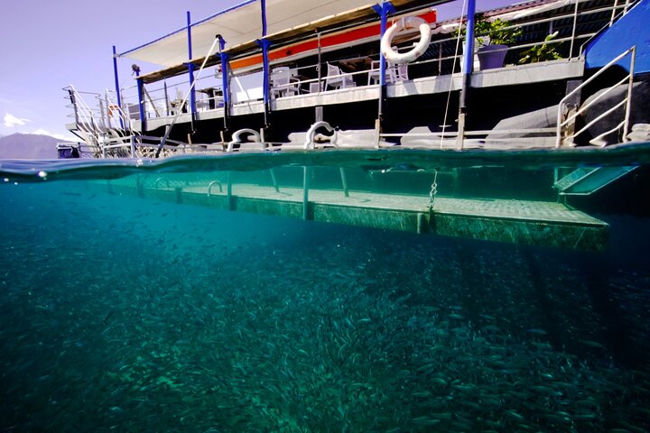 Ponton Day Trip SWIM with fish’s All meals included with LYVAI