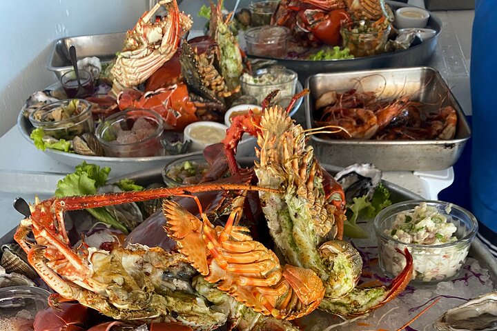 Ponton Day Trip SWIM with fish’s All meals included with LYVAI