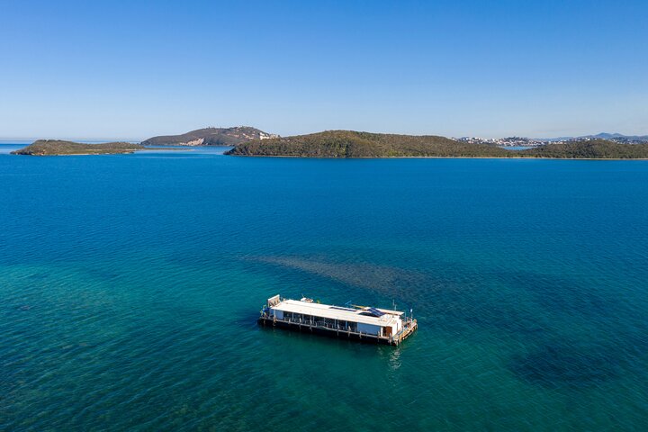 Ponton Day Trip SWIM with fish’s All meals included with LYVAI