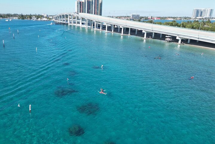 Guided Snorkel Tour Phil Foster Park (HIGH TIDE ONLY-FREE VIDEOS)