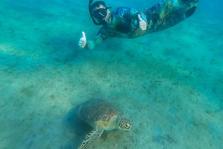 Guided Snorkel Tour Phil Foster Park (HIGH TIDE ONLY-FREE VIDEOS)