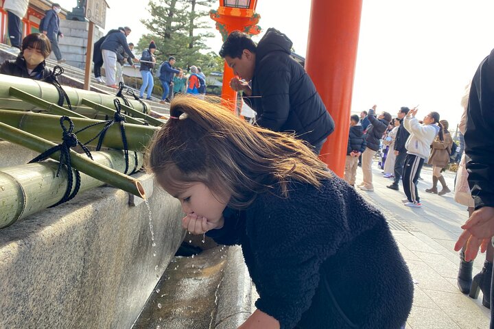 Kyoto in 1 Day from Kobe: Customized Tour, Licensed Guide