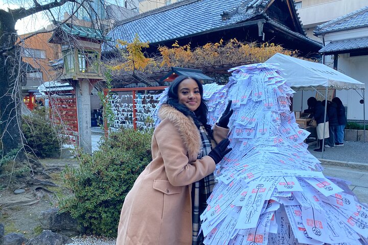 Kyoto in 1 Day from Kobe: Customized Tour, Licensed Guide