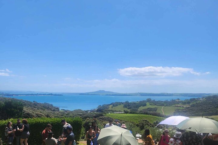 Auckland: Waiheke Island Wine Tour + Tastings & Beachfront Lunch