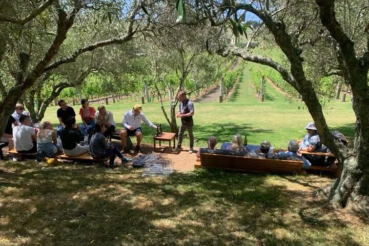 Auckland: Waiheke Island Wine Tour + Tastings & Beachfront Lunch