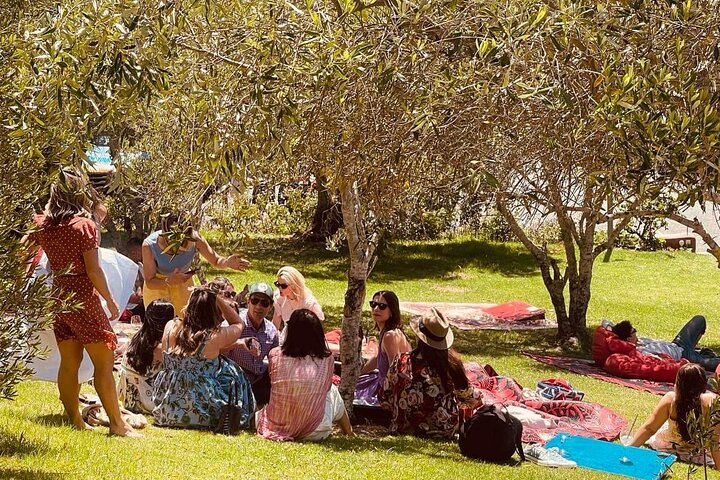 Auckland: Waiheke Island Wine Tour + Tastings & Beachfront Lunch