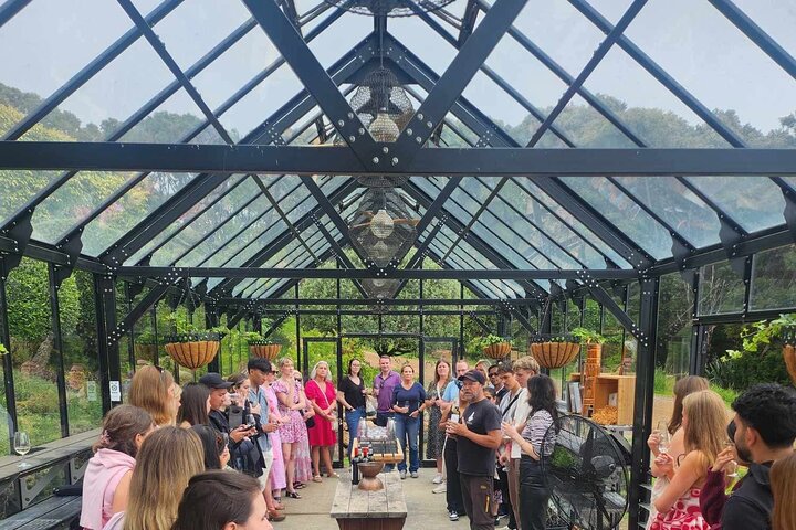 Auckland: Waiheke Island Wine Tour + Tastings & Beachfront Lunch