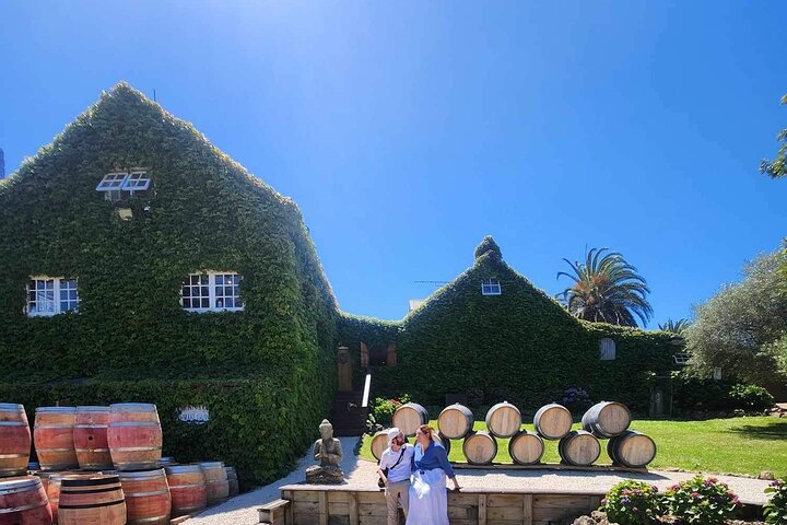 Auckland: Waiheke Island Wine Tour + Tastings & Beachfront Lunch