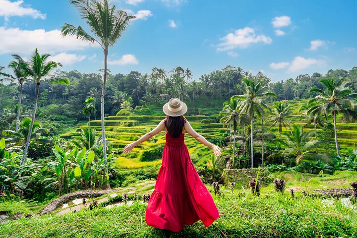 Ubud Private Tour: Waterfalls, Temple and Rice Terraces Swing