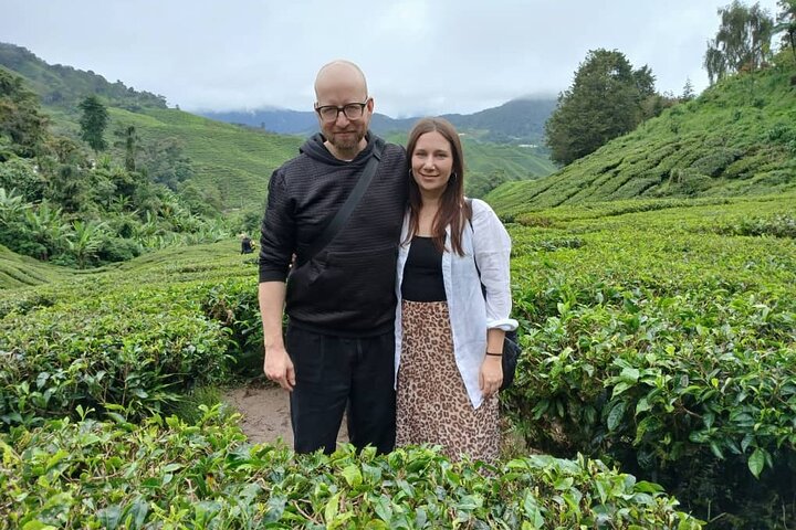 Cameron Highland Private Day Tour From Ipoh