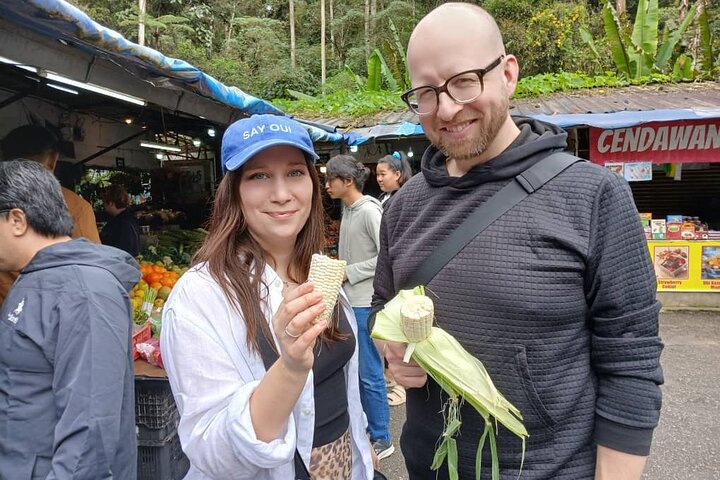 Cameron Highland Private Day Tour From Ipoh