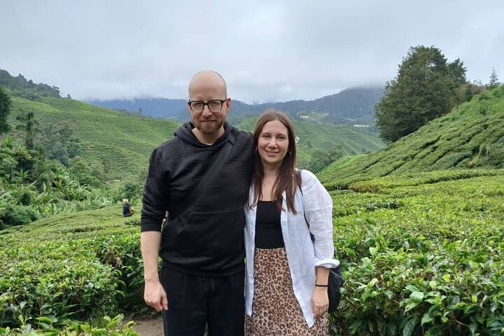 Cameron Highland Private Day Tour From Ipoh
