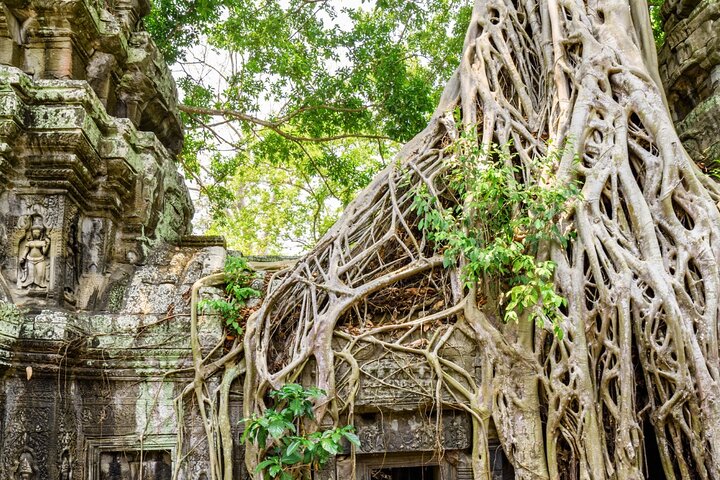 Angkor 2-Day Sunset & Sunrise Small-Group Tour