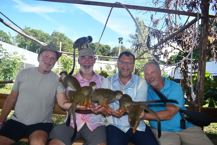 Monkey Home Tour and Damajagua waterfalls in Puerto Plata.