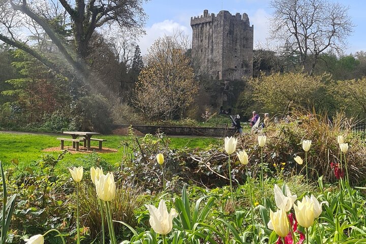 Private tour of, Blarney Castle, Cork City and Kinsale
