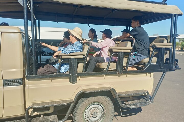 Chobe Day Trip Safari from Livingstone