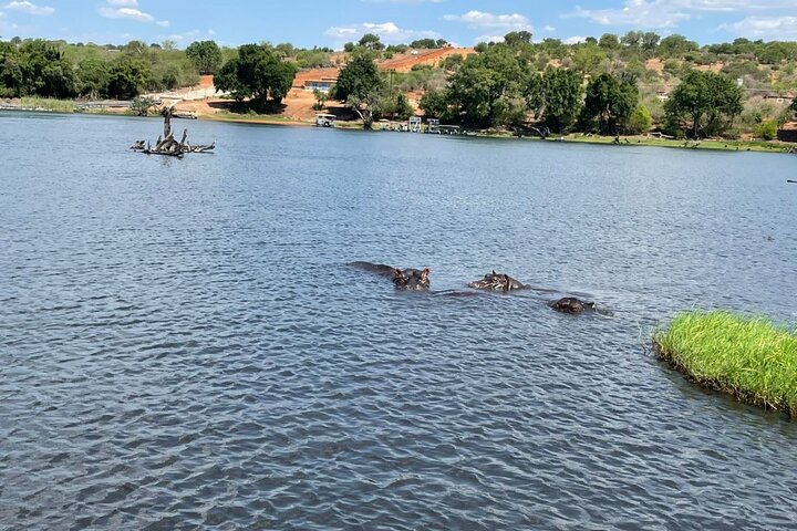 Chobe Day Trip Safari from Livingstone
