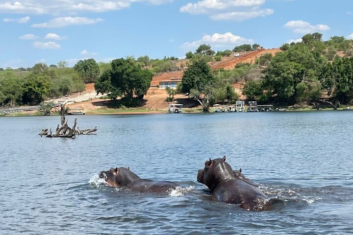 Chobe Day Trip Safari from Livingstone