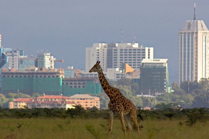 Nairobi Airport (NBO) Private Transfer to Nairobi City/Hotels