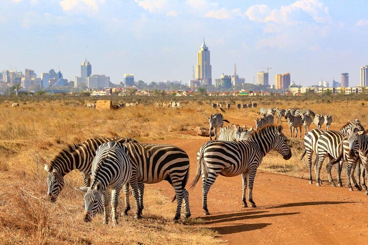 Nairobi Airport (NBO) Private Transfer to Nairobi City/Hotels