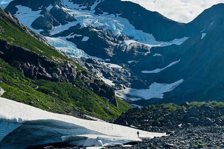 Whittier Cruise Transfer with Wildlife&Glacier tour to Anchorage