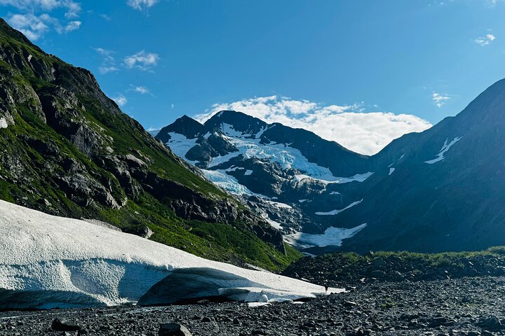 Whittier Cruise Transfer with Wildlife&Glacier tour to Anchorage