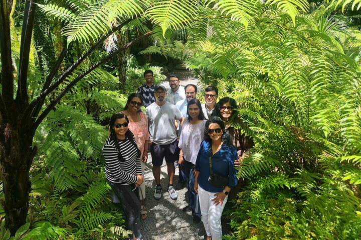 2025 Award Winning: Auckland City Highlights Half Day Tour