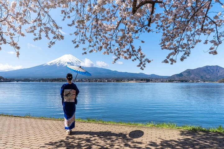 Mount Fuji Full Day Sightseeing Tour from Tokyo